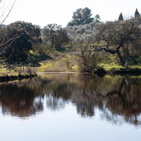 Vila Casa Cortijo En Dehesa Sierra Leon La Puebla de los Infantes Exteriér fotografie