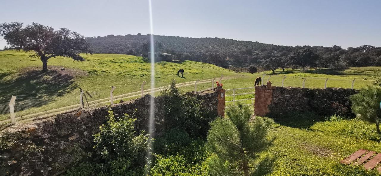 Vila Casa Cortijo En Dehesa Sierra Leon La Puebla de los Infantes Exteriér fotografie